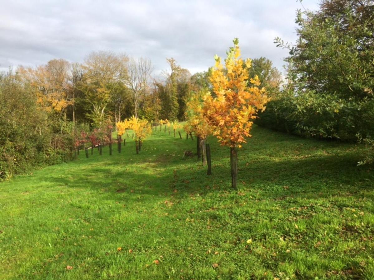 Appartement Charmant Orgnac-Sur-Vezere Avec Jardin Et Parking Екстер'єр фото